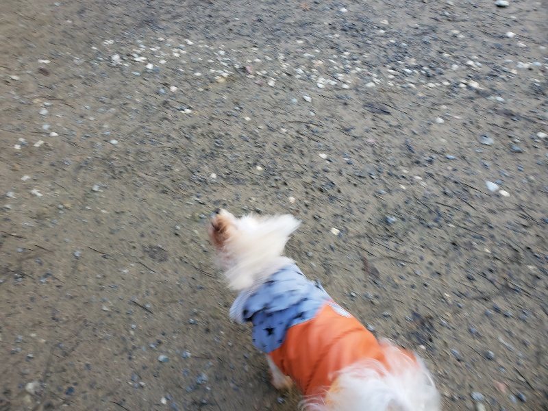 f:id:roukenhome-ann:20191227193326j:plain