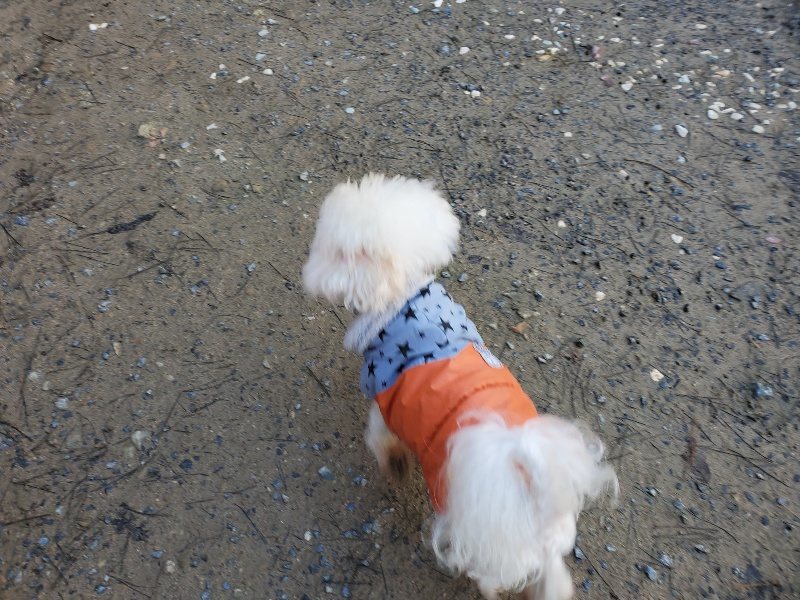 f:id:roukenhome-ann:20191227193352j:plain