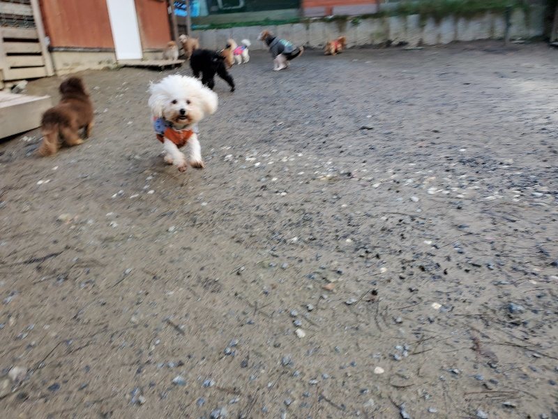 f:id:roukenhome-ann:20191227193400j:plain