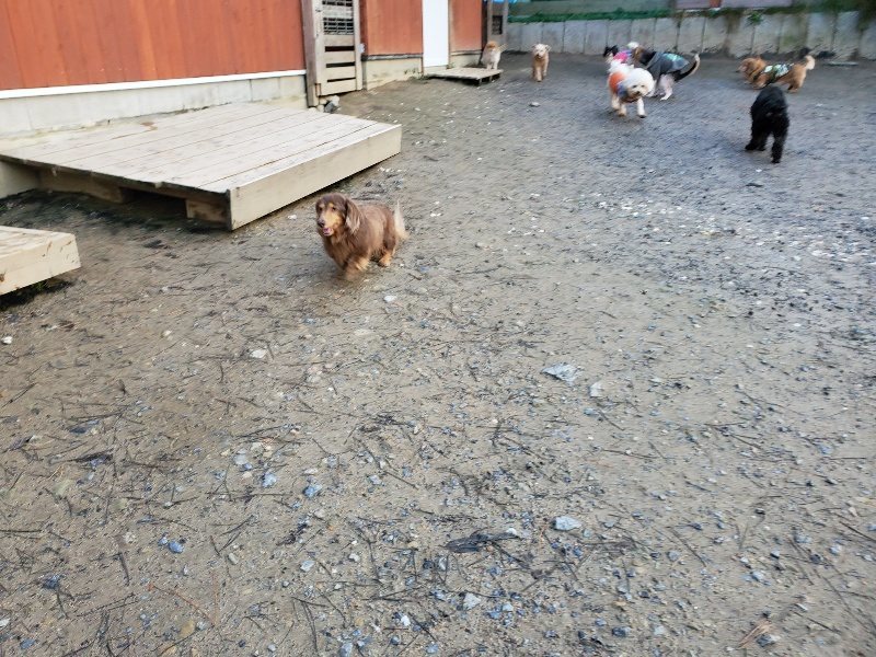 f:id:roukenhome-ann:20191227193421j:plain