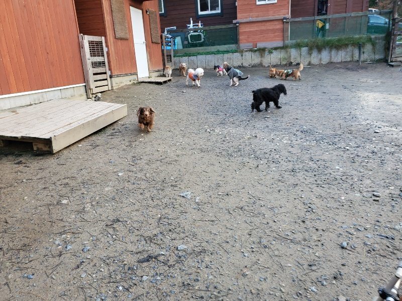 f:id:roukenhome-ann:20191227193453j:plain