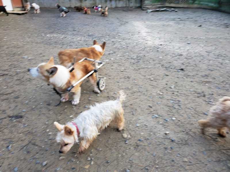 f:id:roukenhome-ann:20191227193539j:plain