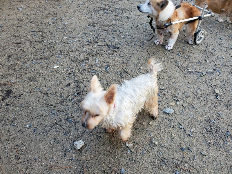 f:id:roukenhome-ann:20191227193558j:plain