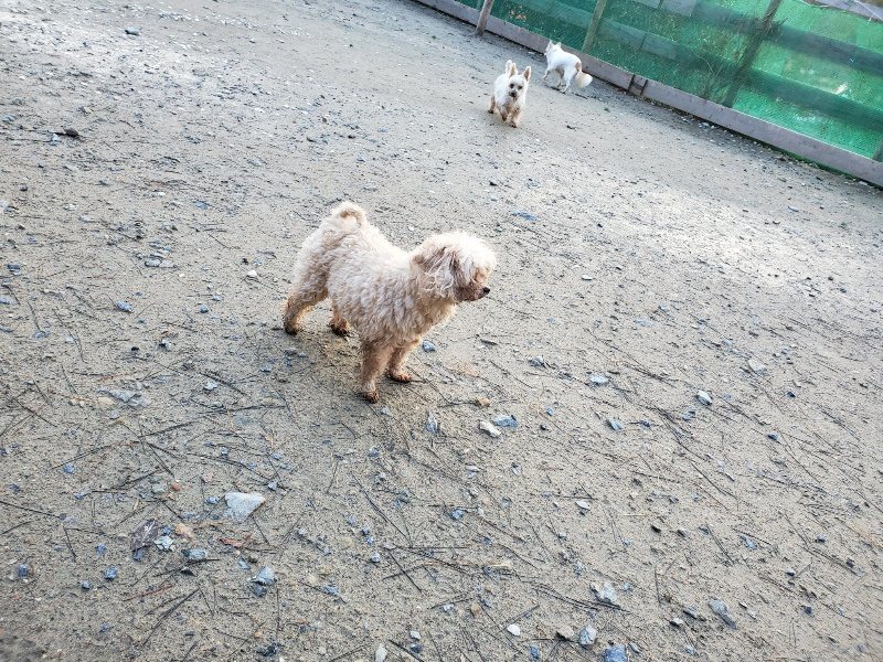 f:id:roukenhome-ann:20191227193707j:plain