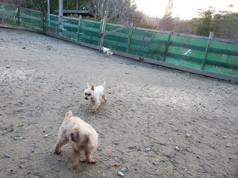 f:id:roukenhome-ann:20191227193721j:plain