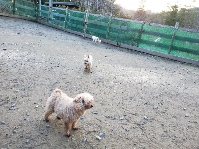 f:id:roukenhome-ann:20191227193737j:plain