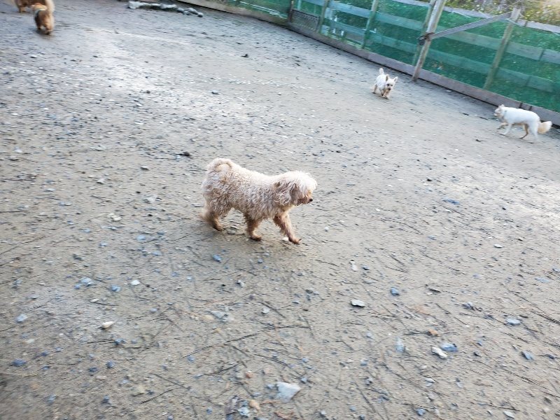 f:id:roukenhome-ann:20191227193751j:plain