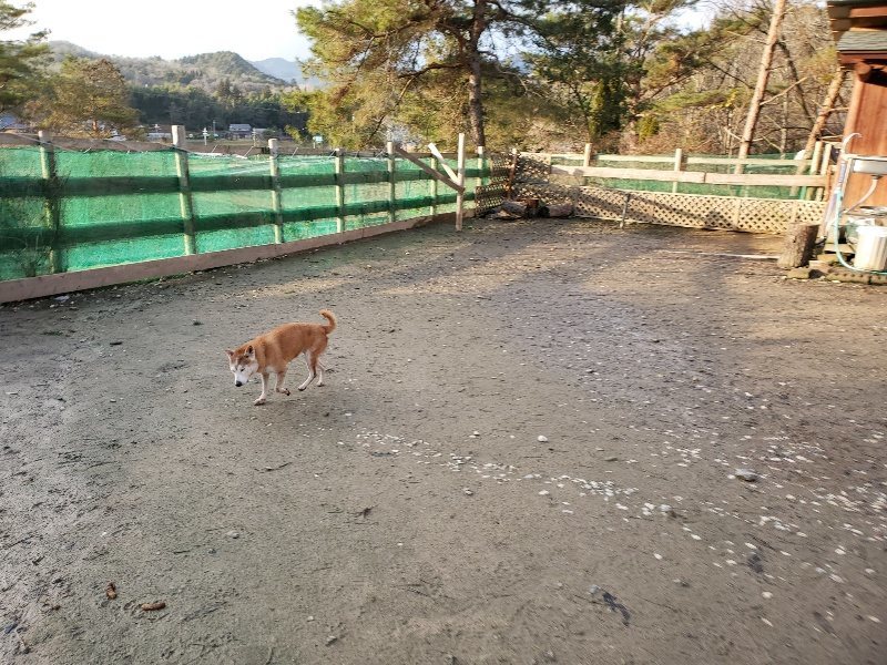 f:id:roukenhome-ann:20191227194918j:plain