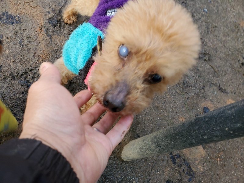 f:id:roukenhome-ann:20191227194931j:plain