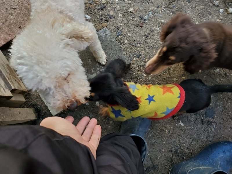 f:id:roukenhome-ann:20191227194946j:plain