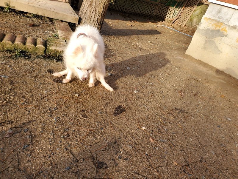 f:id:roukenhome-ann:20191227195052j:plain