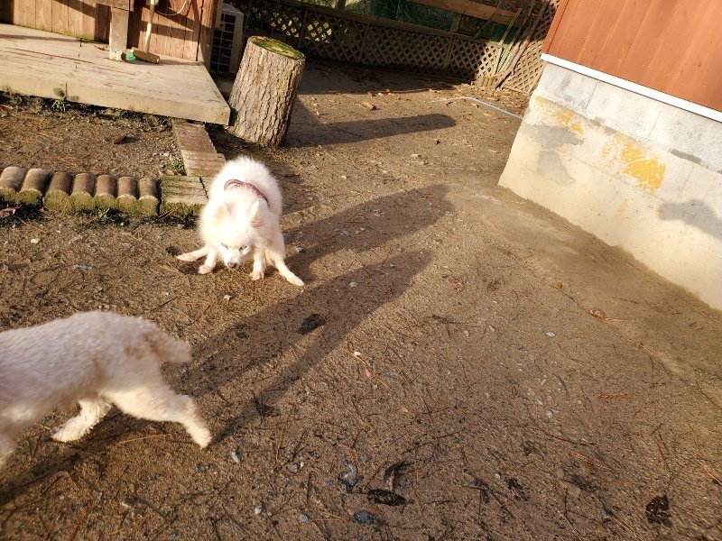 f:id:roukenhome-ann:20191227195151j:plain
