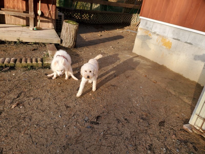 f:id:roukenhome-ann:20191227195320j:plain