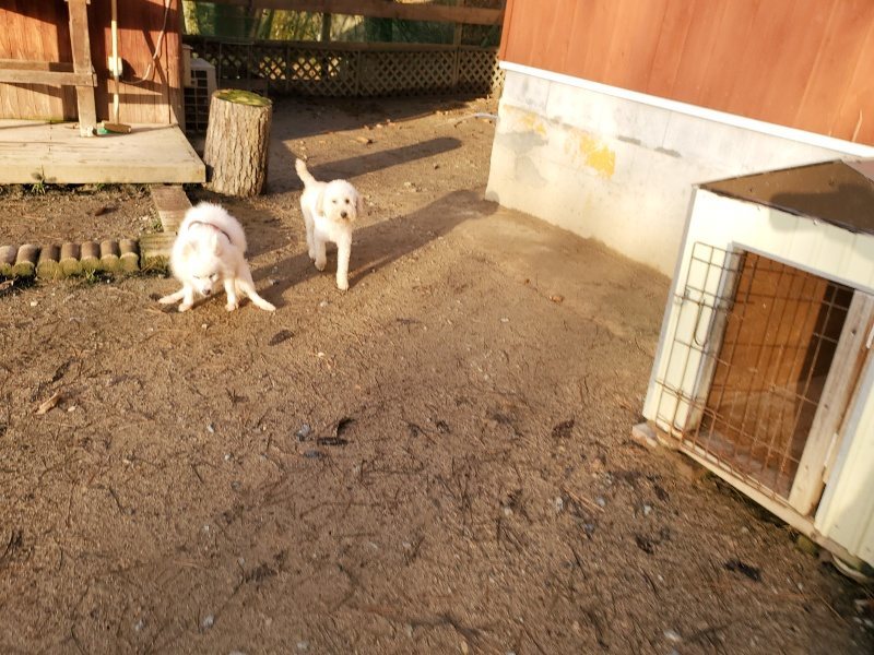 f:id:roukenhome-ann:20191227195342j:plain