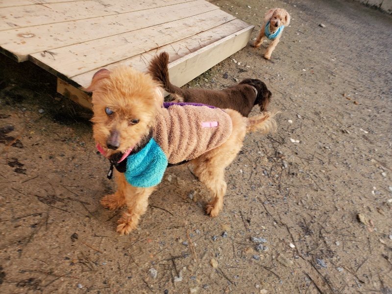f:id:roukenhome-ann:20191227195430j:plain
