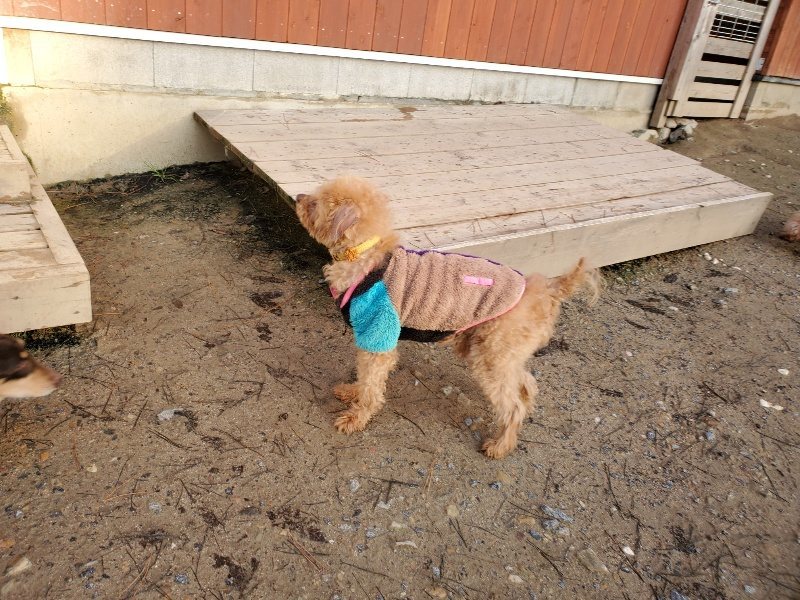 f:id:roukenhome-ann:20191227195712j:plain