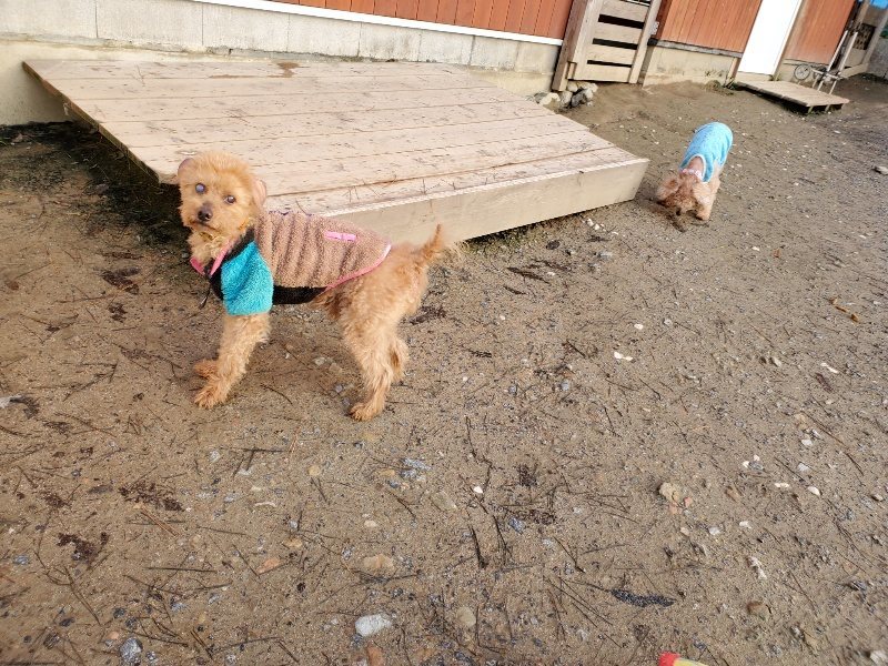 f:id:roukenhome-ann:20191227195732j:plain