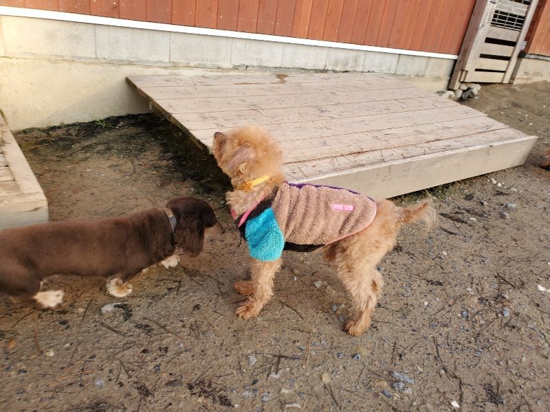 f:id:roukenhome-ann:20191227195751j:plain