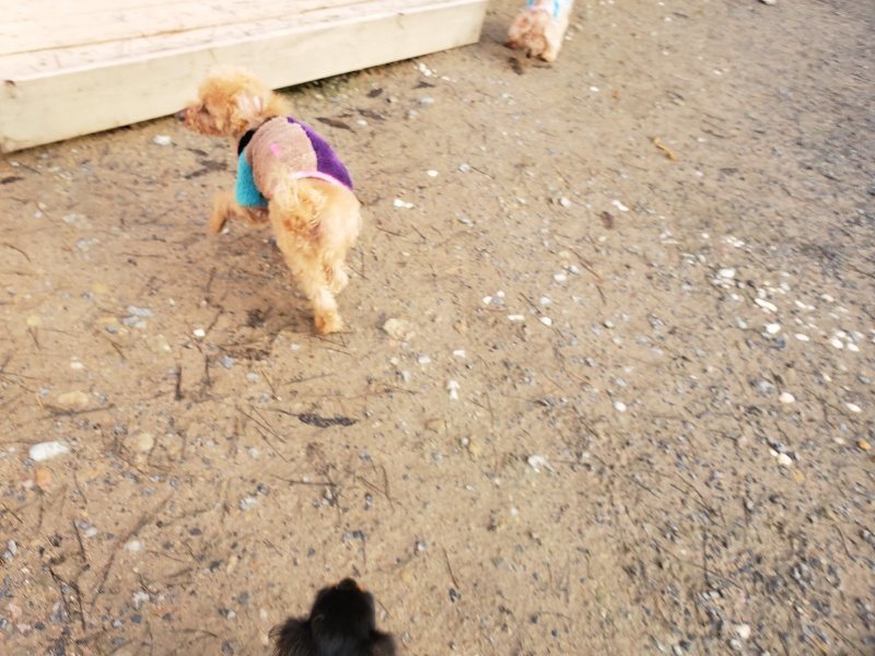 f:id:roukenhome-ann:20191227195802j:plain