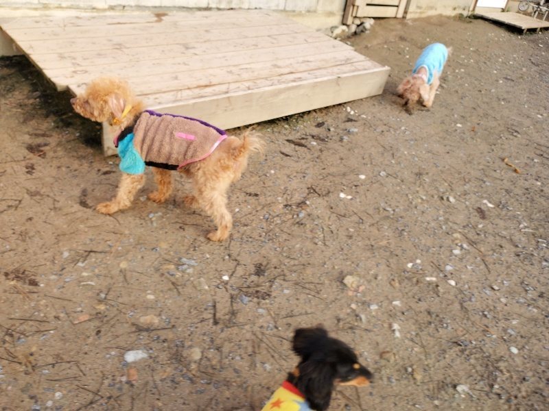 f:id:roukenhome-ann:20191227195817j:plain
