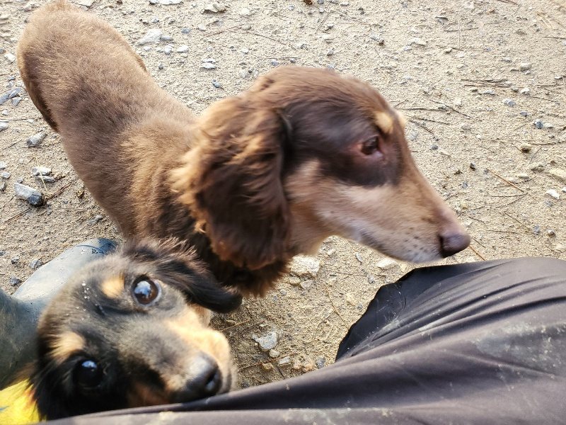 f:id:roukenhome-ann:20191227195837j:plain