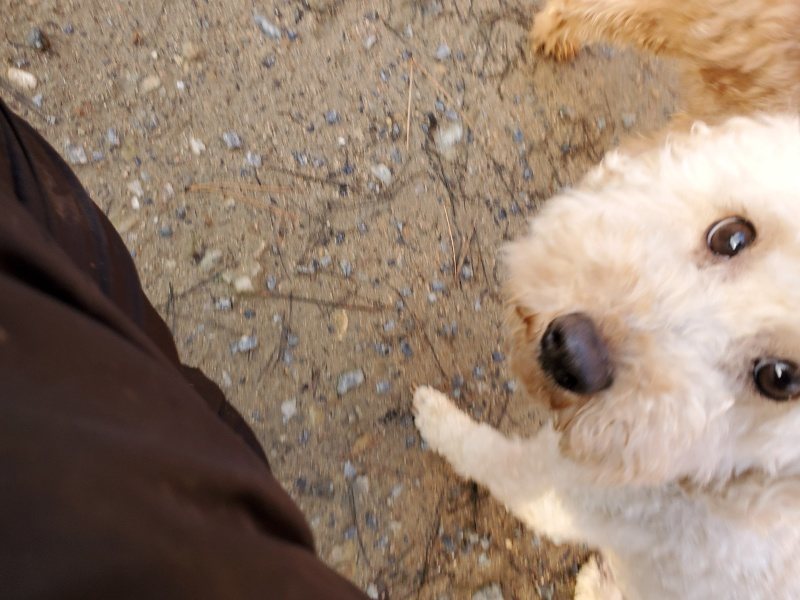 f:id:roukenhome-ann:20191227195851j:plain