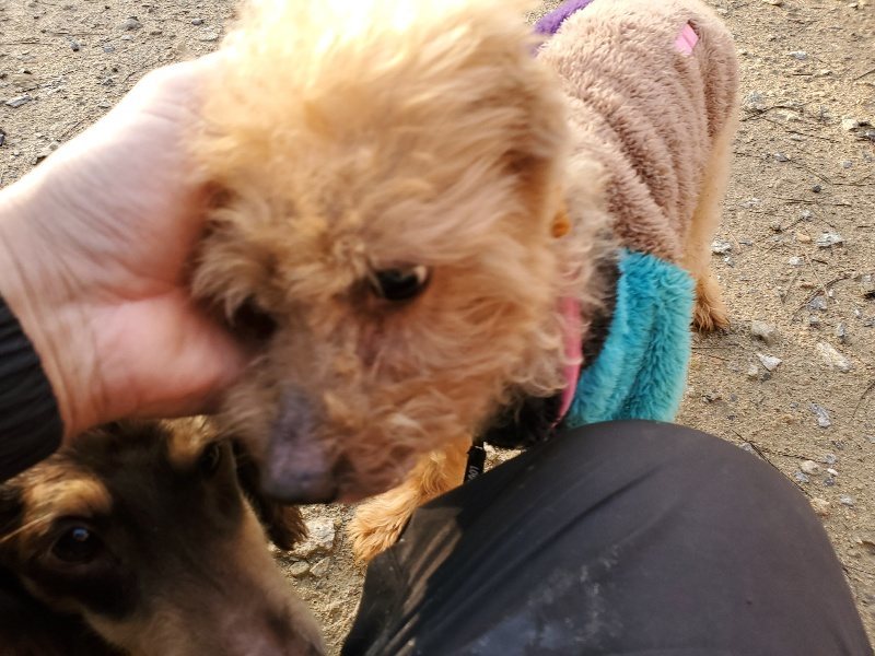 f:id:roukenhome-ann:20191227195931j:plain