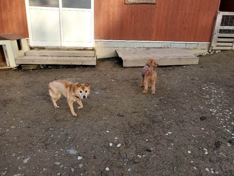 f:id:roukenhome-ann:20191227195952j:plain