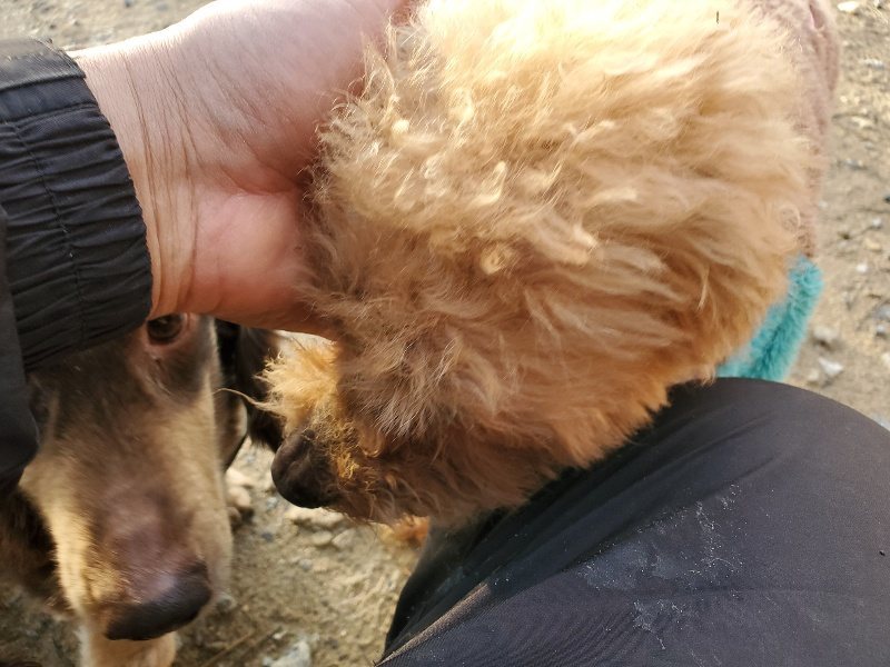 f:id:roukenhome-ann:20191227200019j:plain