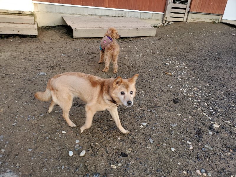 f:id:roukenhome-ann:20191227200055j:plain