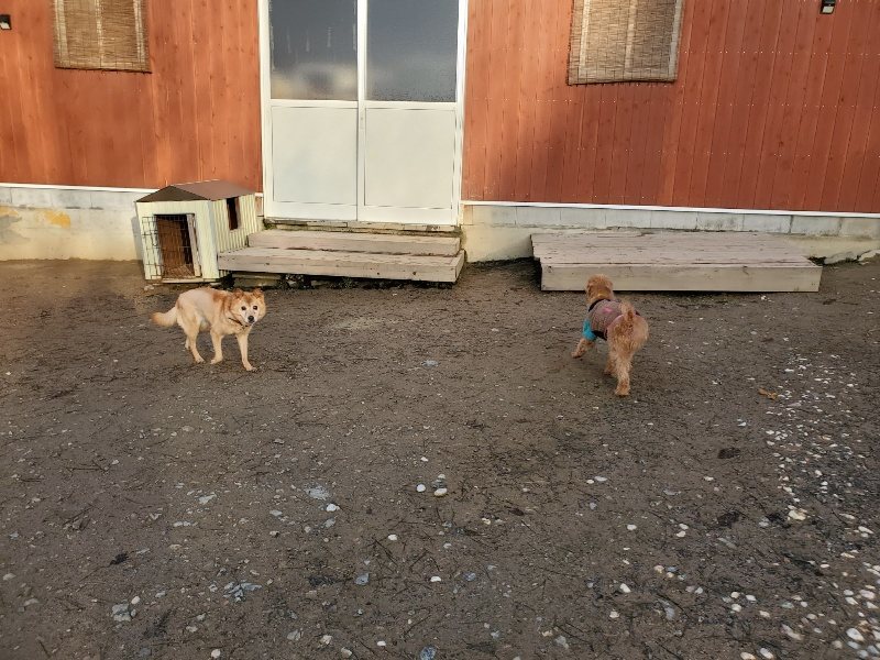 f:id:roukenhome-ann:20191227200120j:plain