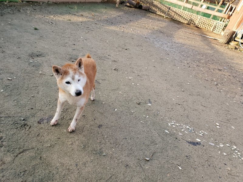f:id:roukenhome-ann:20191227200144j:plain