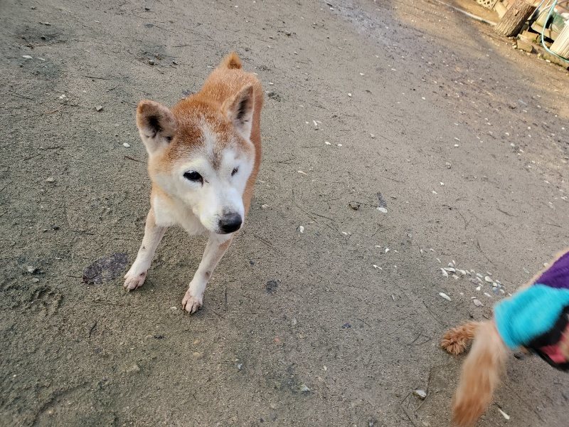 f:id:roukenhome-ann:20191227200228j:plain