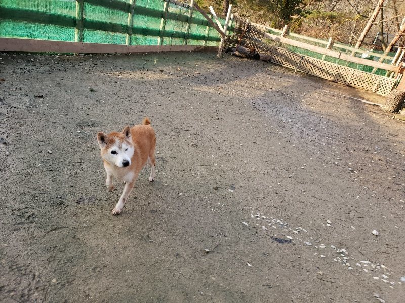 f:id:roukenhome-ann:20191227200255j:plain