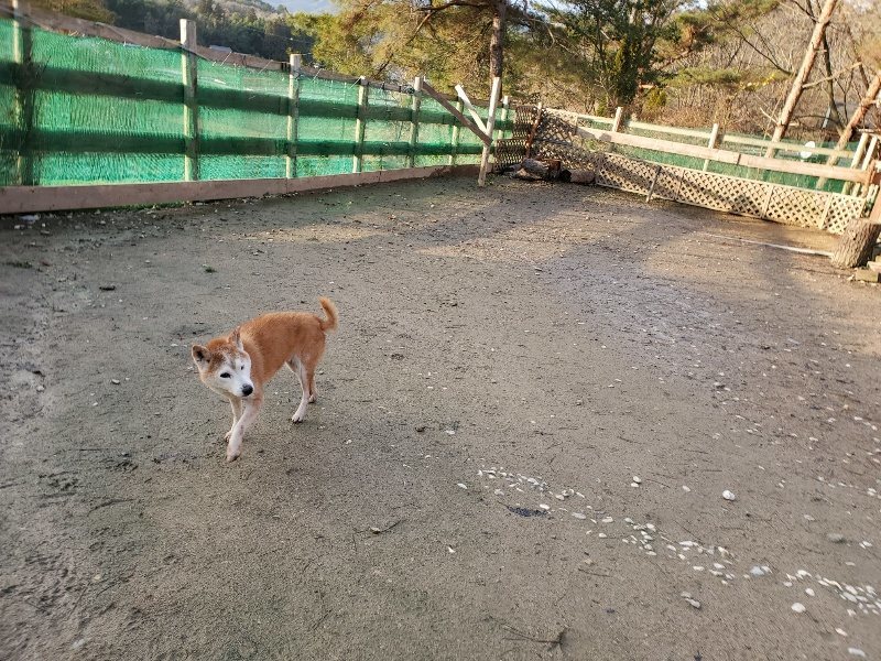 f:id:roukenhome-ann:20191227200402j:plain