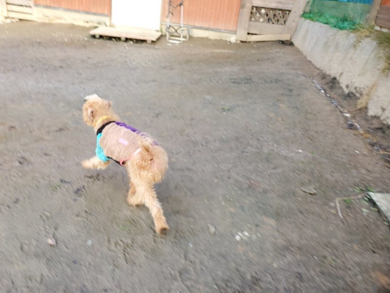 f:id:roukenhome-ann:20191227200432j:plain