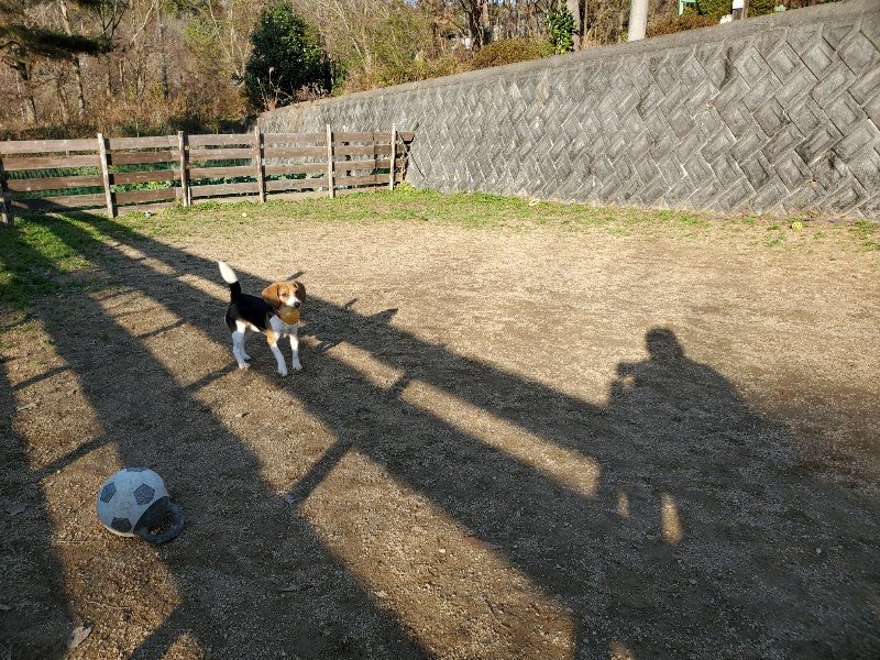f:id:roukenhome-ann:20191227201355j:plain
