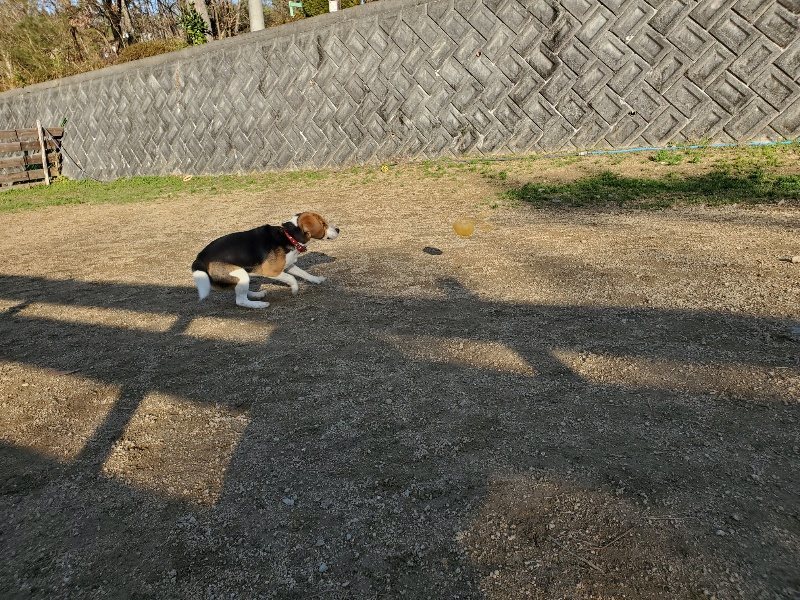 f:id:roukenhome-ann:20191227201425j:plain