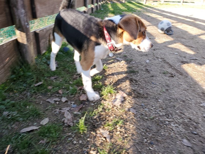 f:id:roukenhome-ann:20191227201450j:plain
