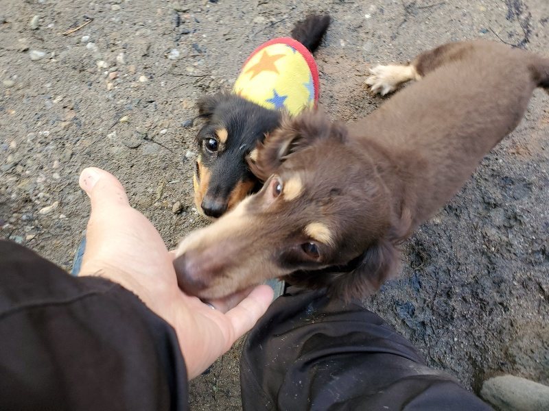 f:id:roukenhome-ann:20191227201745j:plain