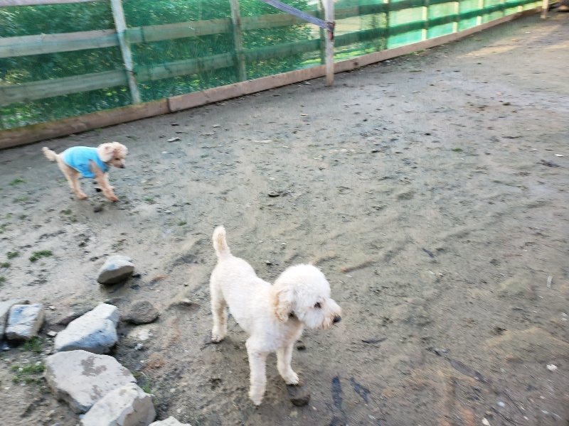 f:id:roukenhome-ann:20191227201901j:plain