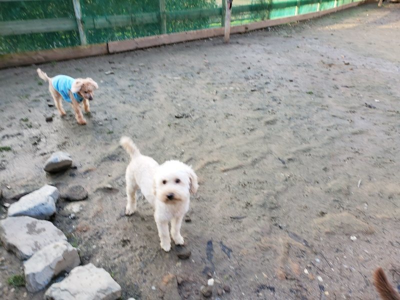 f:id:roukenhome-ann:20191227201958j:plain