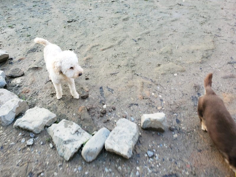 f:id:roukenhome-ann:20191227202032j:plain