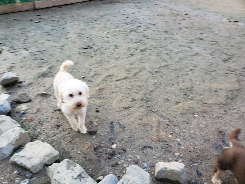 f:id:roukenhome-ann:20191227202052j:plain