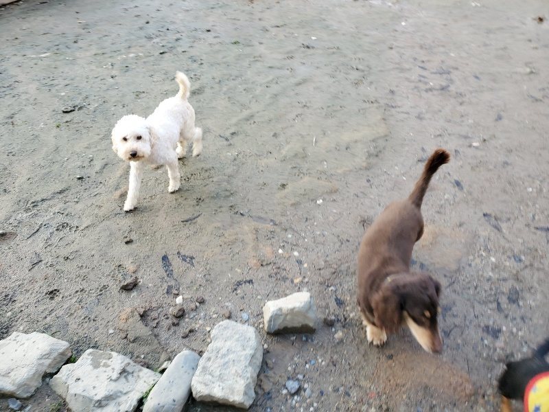 f:id:roukenhome-ann:20191227202259j:plain