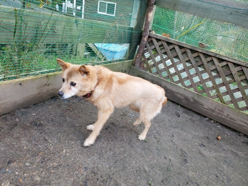 f:id:roukenhome-ann:20191227202447j:plain
