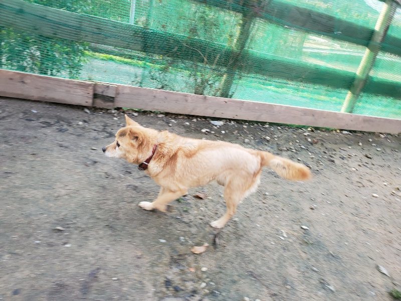 f:id:roukenhome-ann:20191227202504j:plain