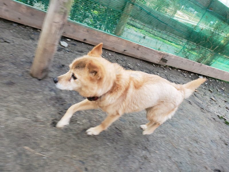 f:id:roukenhome-ann:20191227202528j:plain