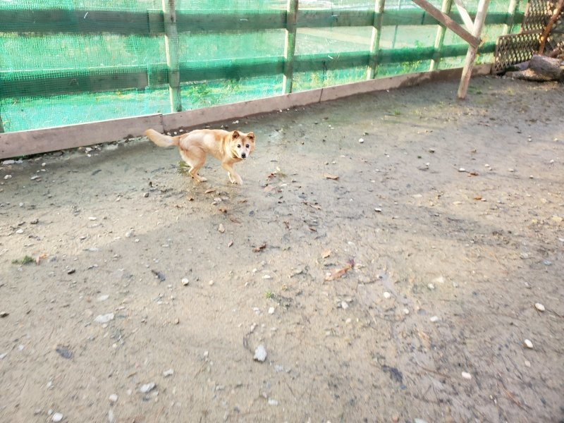 f:id:roukenhome-ann:20191227202834j:plain