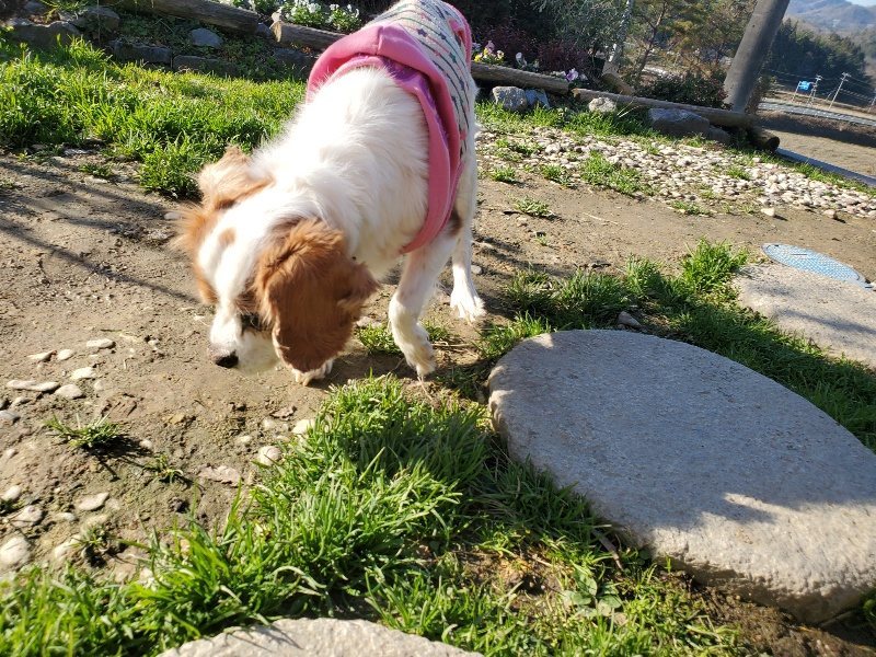 f:id:roukenhome-ann:20191227203420j:plain